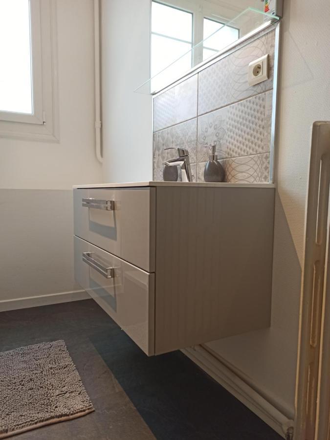 Spacieux Appartement Au Centre Du Mans 勒芒 外观 照片